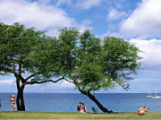 水泵潤滑油有哪些作用？