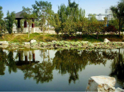 為什么現(xiàn)在南方電機比以前更容易燒壞？