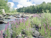 立式離心泵的用途有哪些？