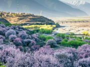 學(xué)習專業(yè)技術(shù)，完成自我超越——南方長河產(chǎn)品技術(shù)支持培訓(xùn)圓滿完成